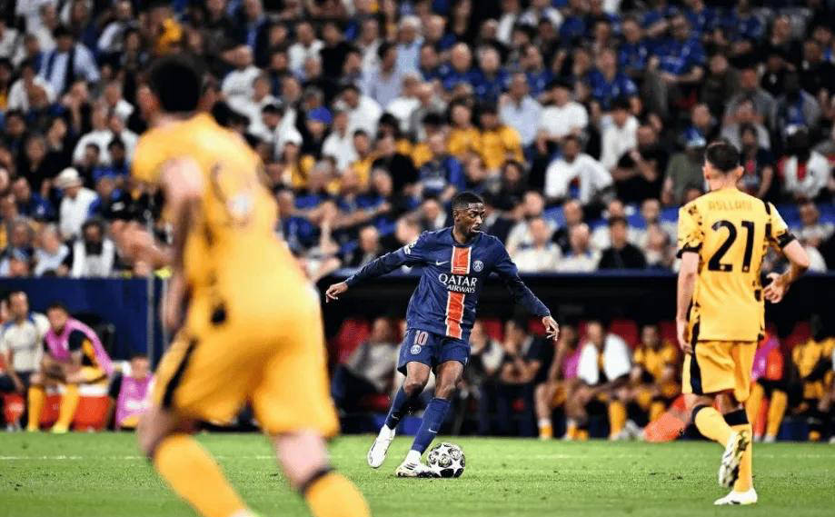 他们不仅能 他们不仅能