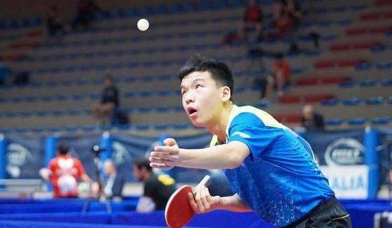 三角草的 三角草的